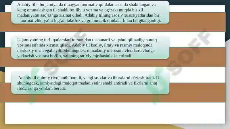 Adabiy til va mahalliy tillar. Sunʼiy tillar 4