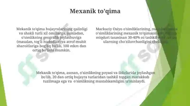 O'simlik To'qimalari 4