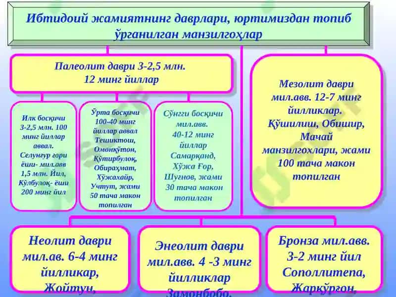 Тошкент Молия Институти 4