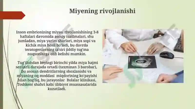 Inson embriogenezi tanqidiy davrlari 4