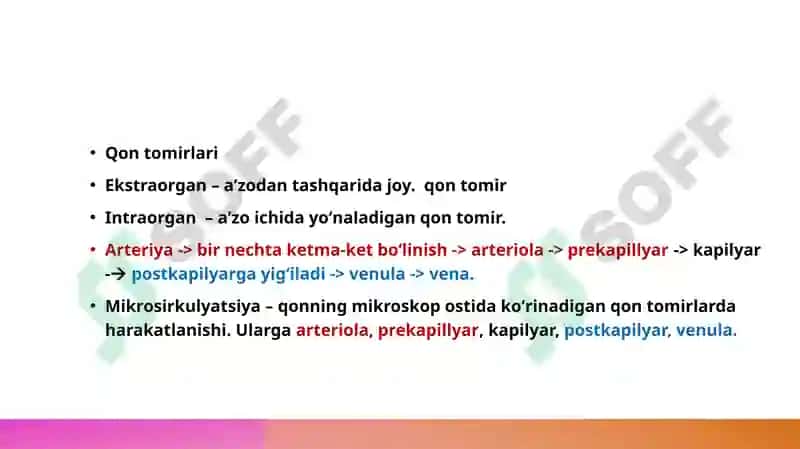 Yurak tuzilishi 4