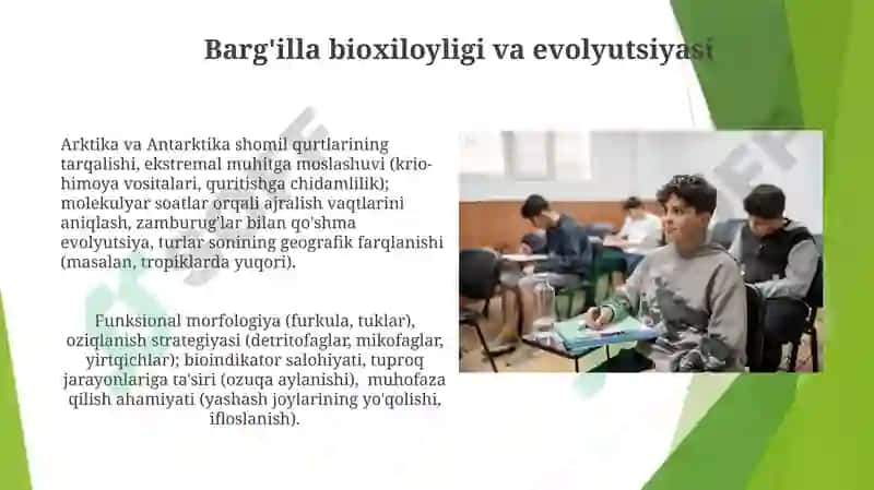 Oyog`dumlilar - Collembola 4