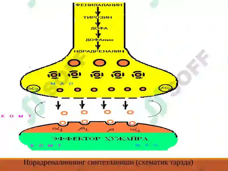 АДРЕНОМИМЕТИКЛАРСИМПАТОМИМЕТИКЛАР 4