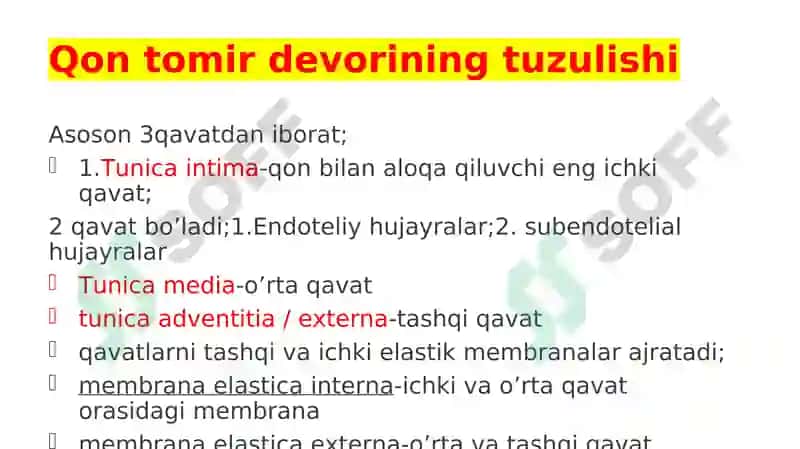 YURAK QON-TOMIR TIZIMI VAZIFASI 4