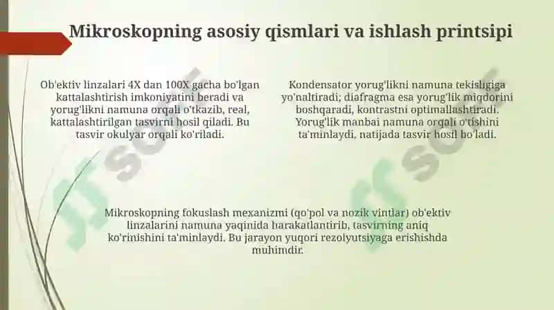 Mikroskop 4