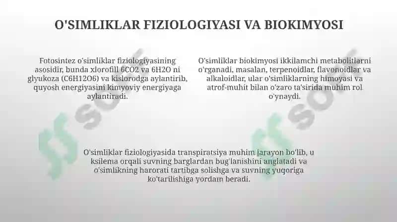 O'simliklar dunyosi va ularni hayot tarzi 4