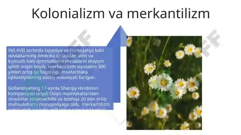 Merkantilizm iqtisodiy ta’limoti 4