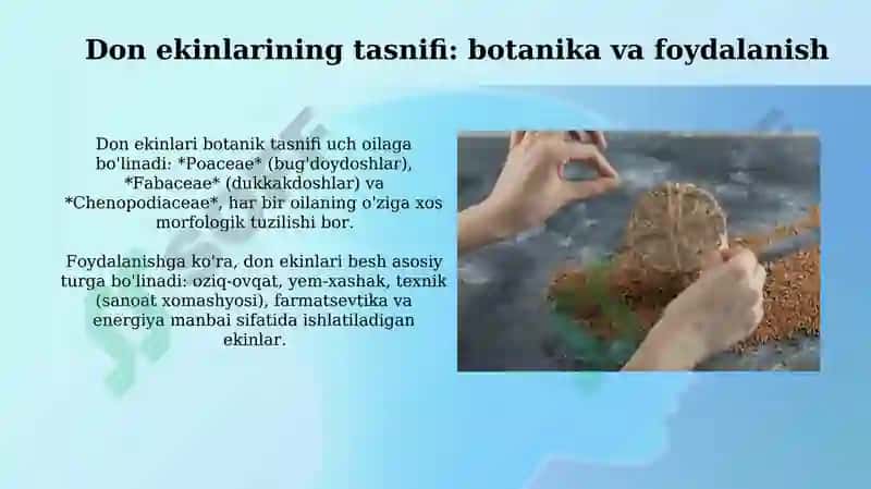 Don ekinlarining turlari va navlari 4