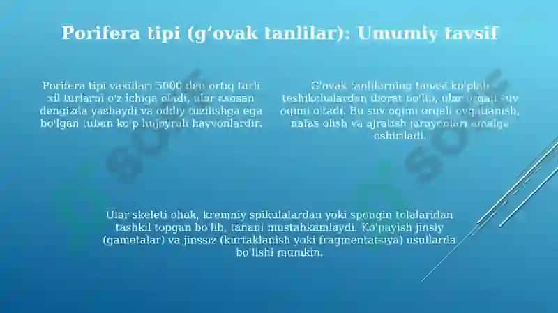 Ko'p hujayralilar olami 4
