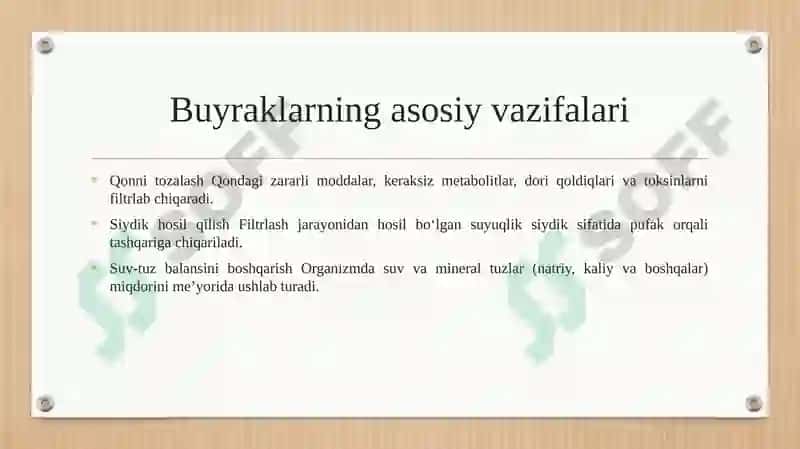 Buyrak haqida 4