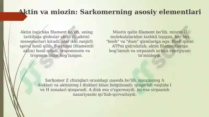 Harakatlanuvchi va qisqarish jarayonlar 4