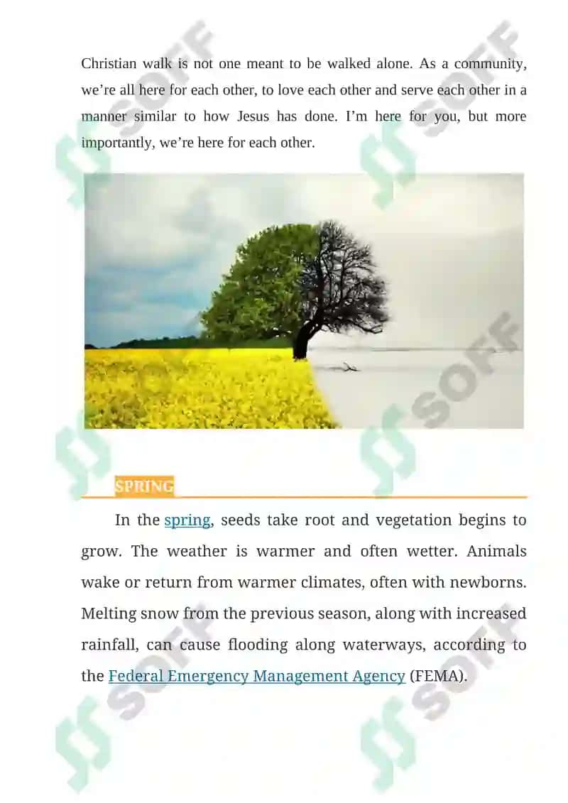The Seasons of Life 4