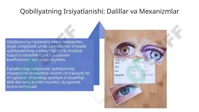 Qobiliyat va genetika 4