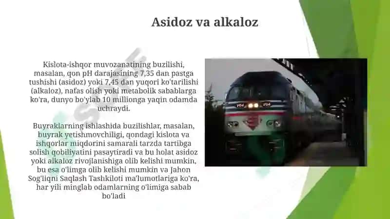Organizmning bufer sistemasi 4