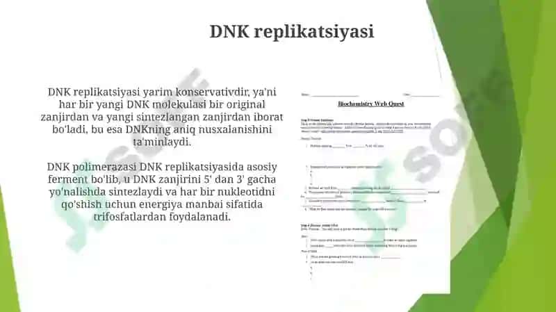 DNKstrukturasivareplikatsiyasi.Oqsilbiosintezi 4