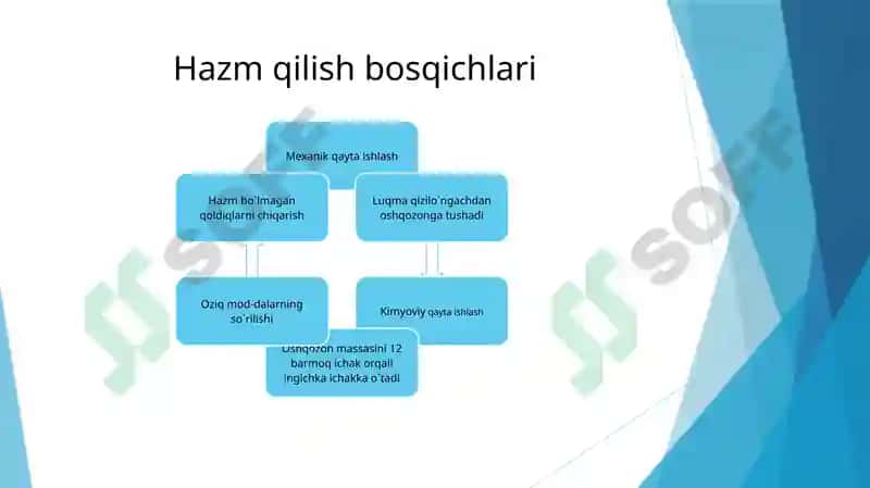 OVQAT HAZM QILISH SISTEMASI 4