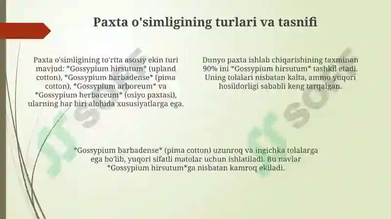 Paxta o'simligining kelib chiqishi va tarixi 4