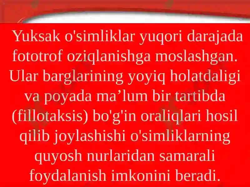 O'simliklar 4