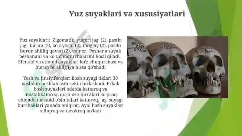 Kalla suyaklarining rengenanatomiyasi 4