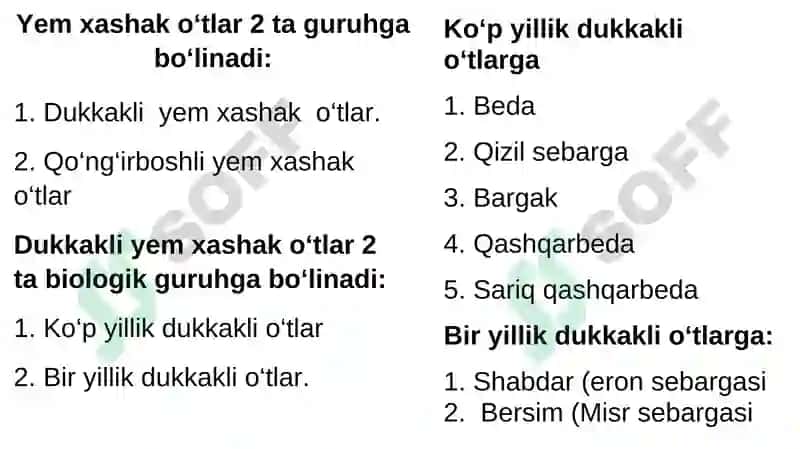 Ko‘p yillik dukkakli va qo‘ng‘irbosh o‘tlar 4