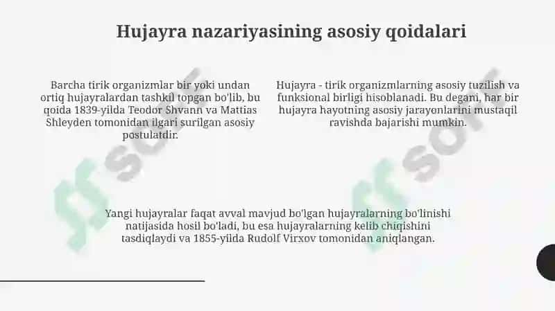 Hujayra tuzilishi 4