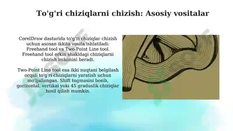 Corel Draw dasturida toʻgʻri va egri chiziqlar chizish 4
