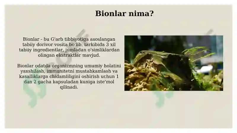 Quruqlik yuzasidagi bionlar 4