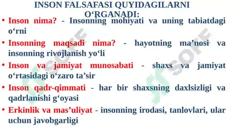 INSON FALSAFASI 4