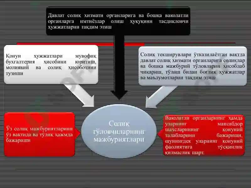 Солиқ Муносабатлари 4