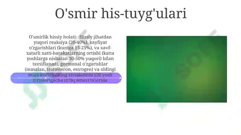 Yashil Psixologiya Qo'llanmalari 4