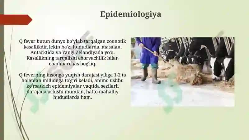 Yuqimli kasalliklar Ku-isitmasi 4