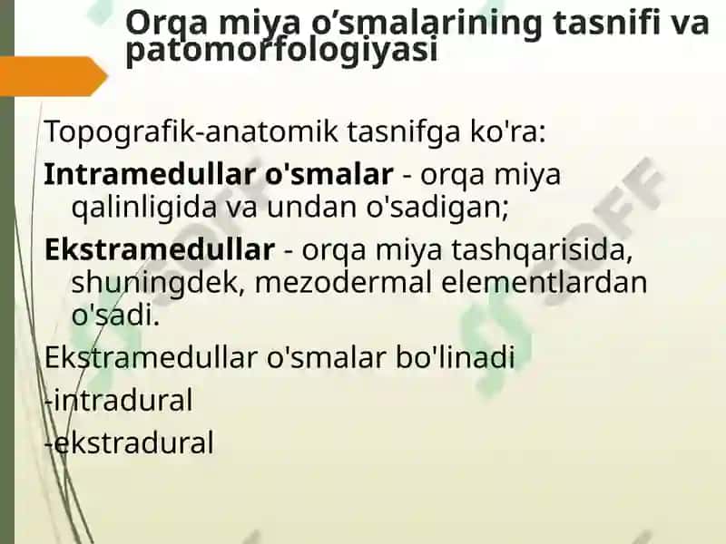 Orqa miya o’smalari 4