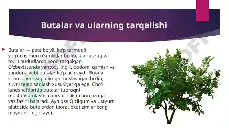 Oʻsimlik turkumlari va ularning tabiiy joylashishlari 4