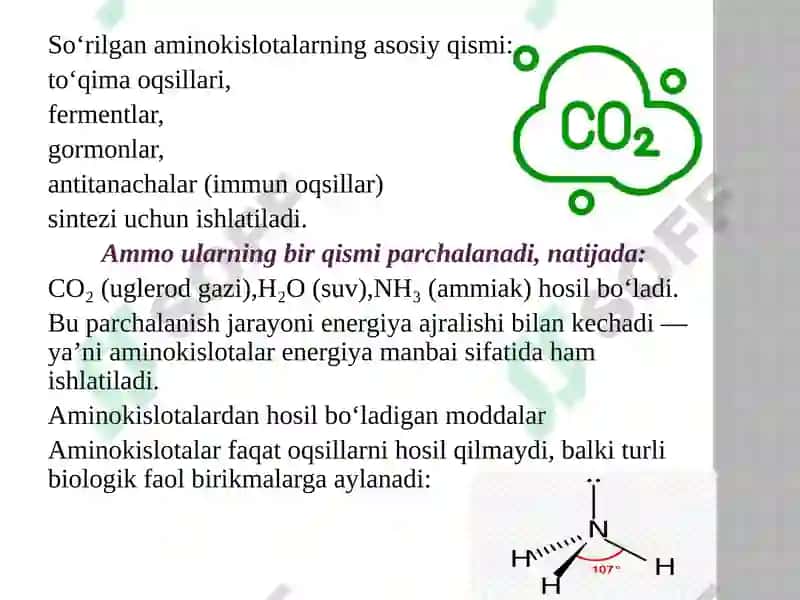 Aminokislotalarning safarbarlanishi 4