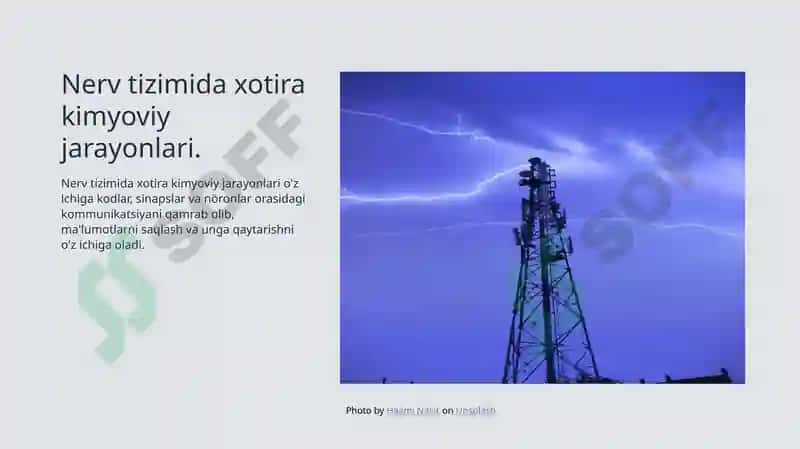 Xotira va sinapslar 4