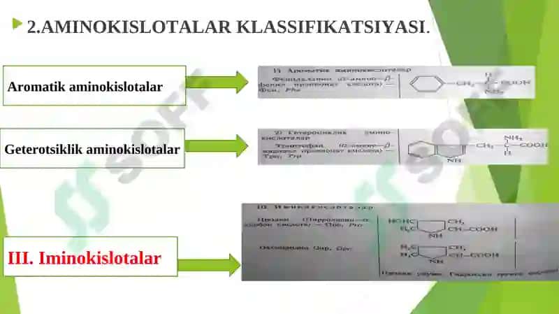Oqsillar strukturasi, klassifikatsiyasi 4