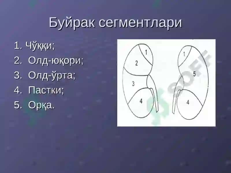 Нур диагностикаси 4