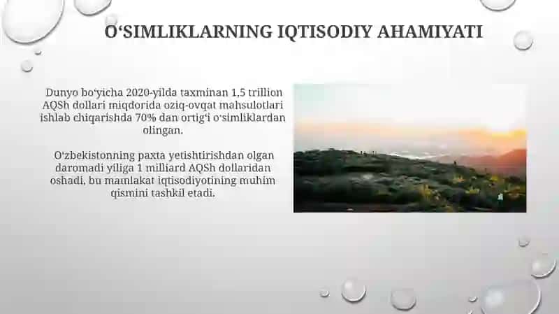 Oʻsimliklar dunyosi va ularni hayot tarzi 4