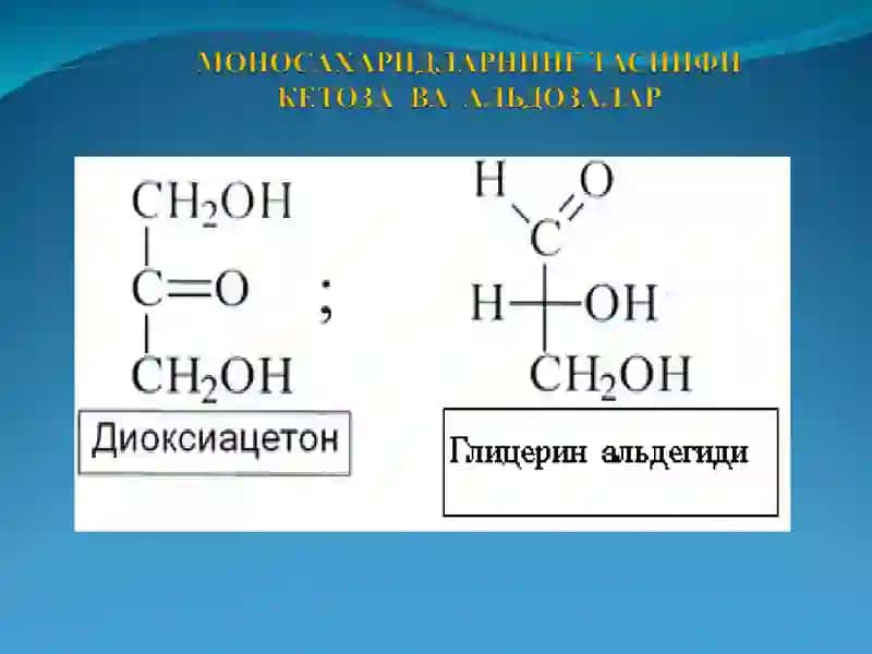 Углеводлар. Моно-,ди-,полисахаридлар 4