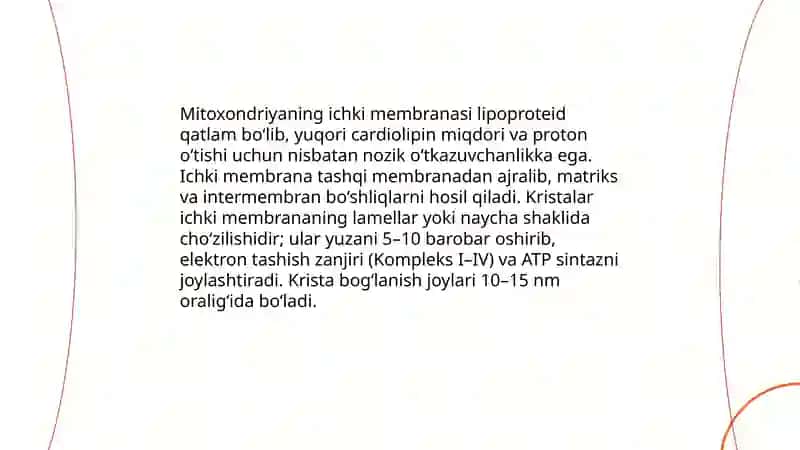 Hujayra Organoidlari 4