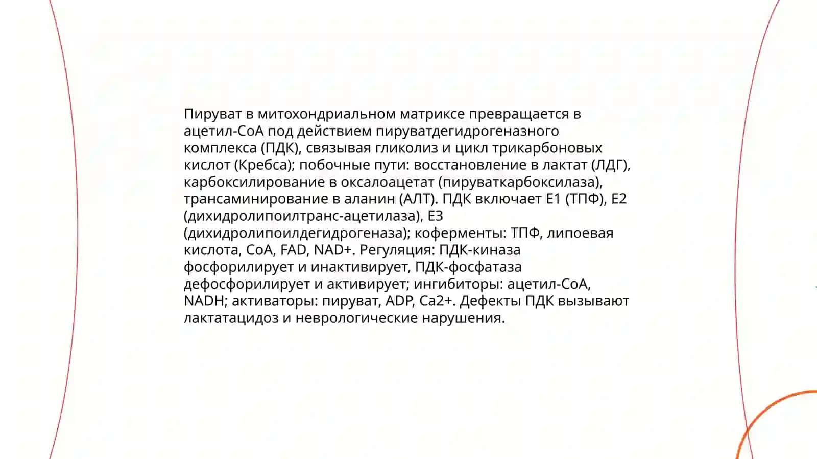 Основные пути метаболических процессов 4