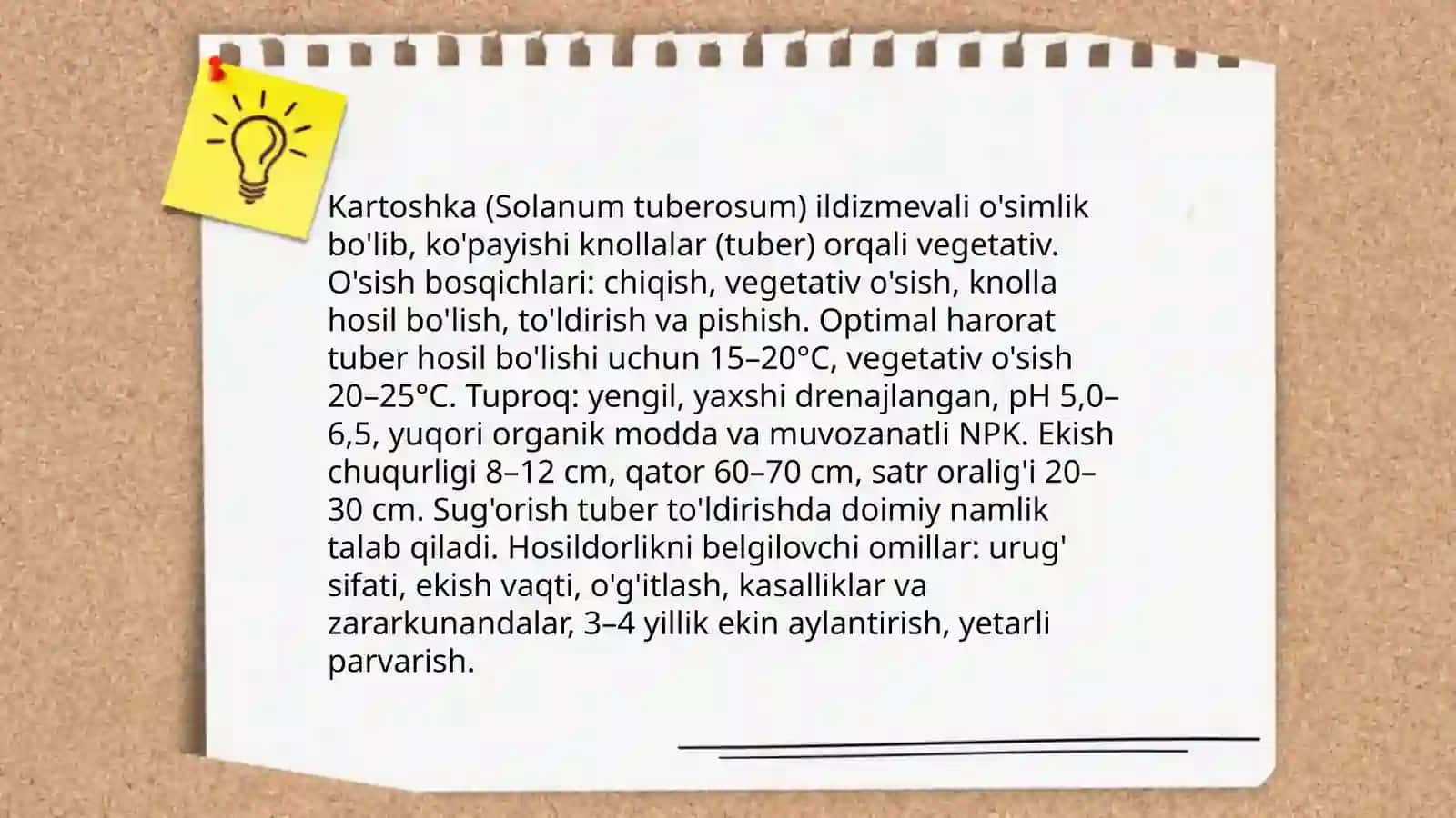 Ildizmevali ekinlar 4