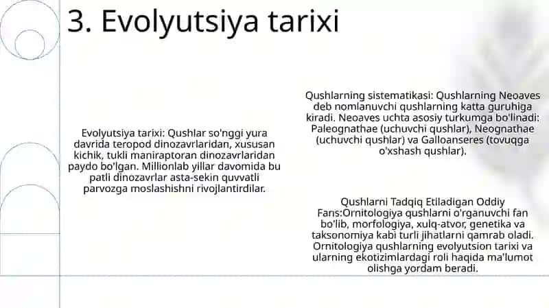 Qushlarning Sistematikasi 4