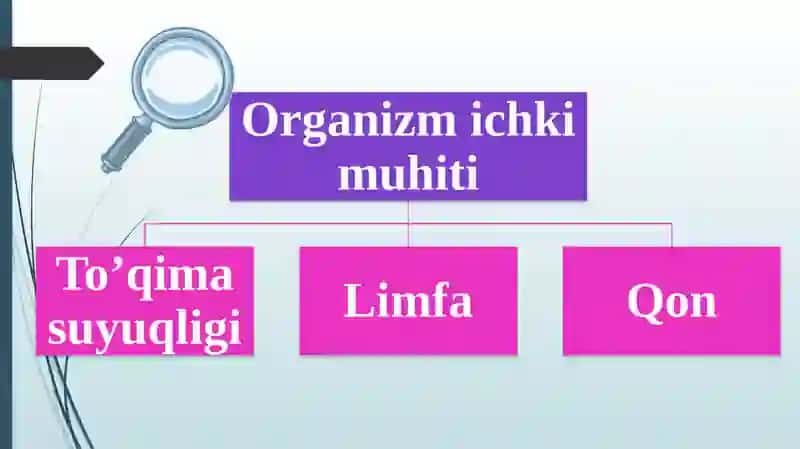 Qonvauningvazifasi 4