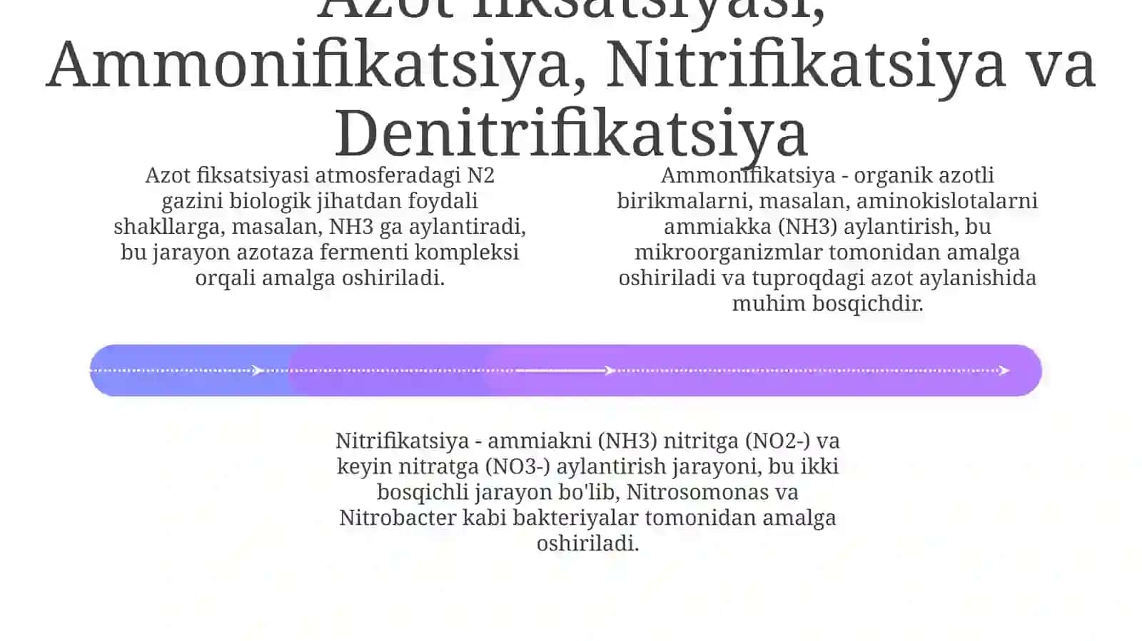 Mikroorganizmlarning azot bilan oziqlanishi 4