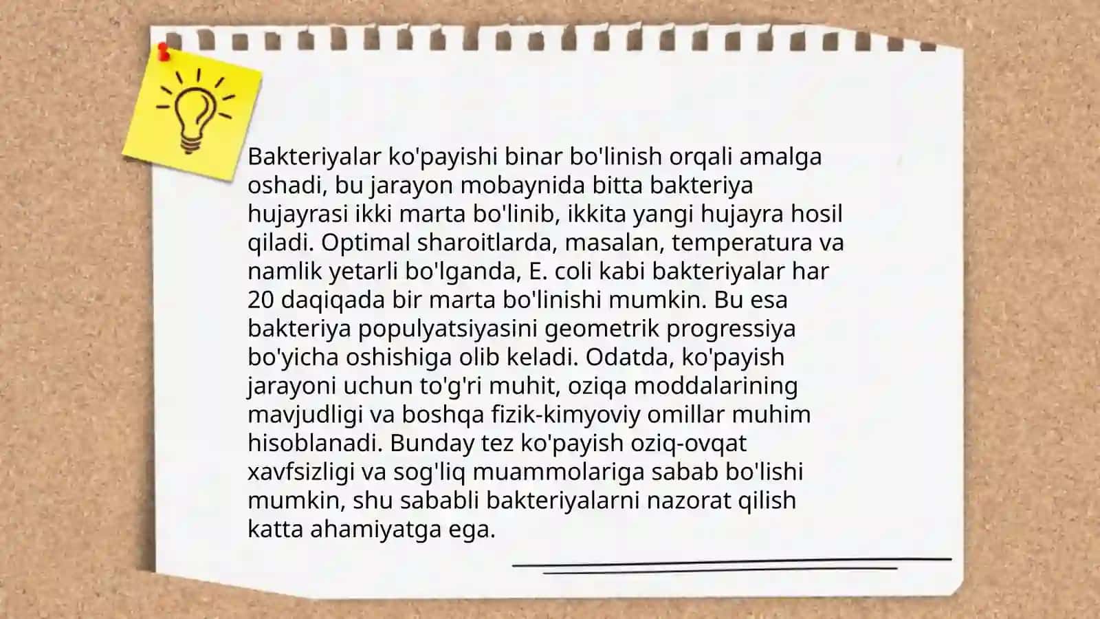 Bakteriyalar 4