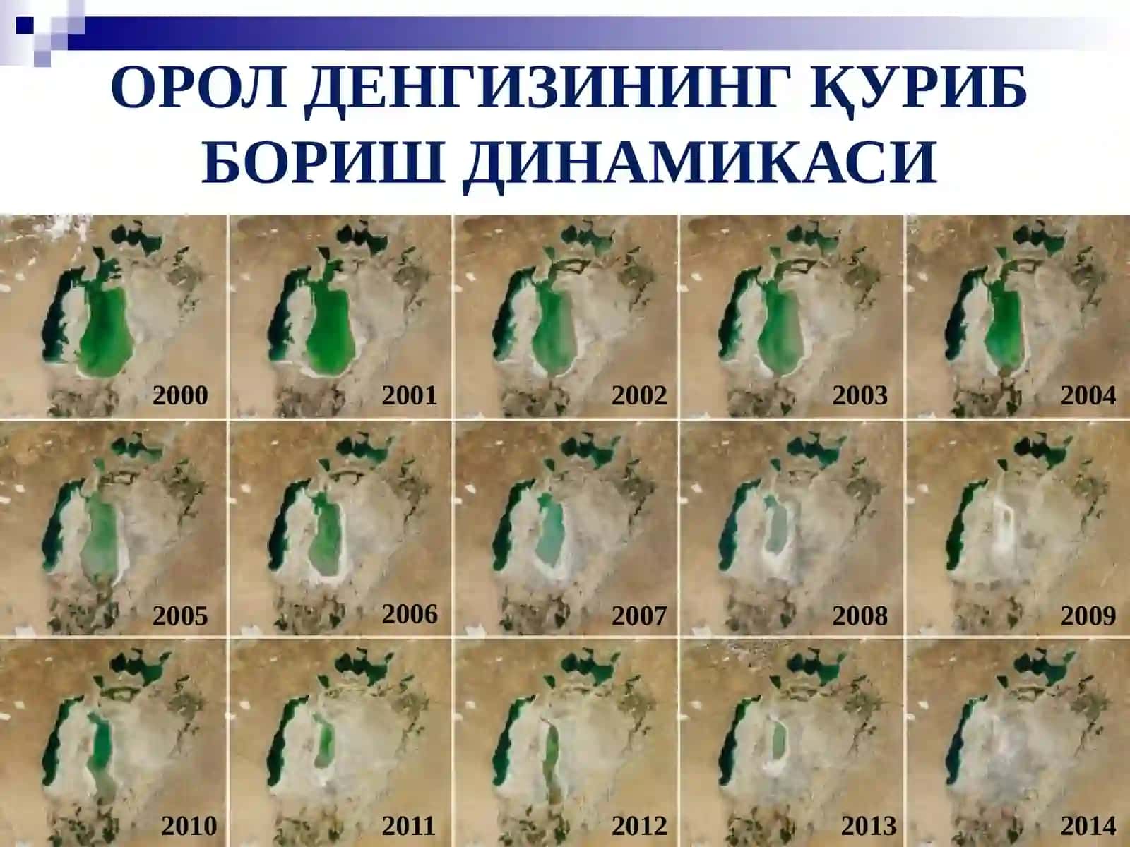 OROL BO‘YI HUDUDIDAGI EKOLOGIK MUAMMOLAR 4