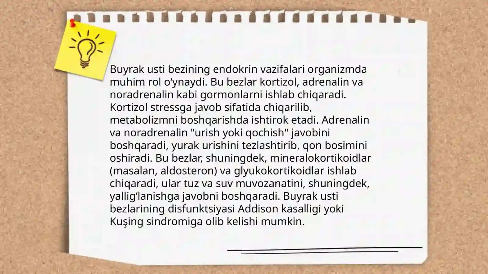 Buyrak usti bezining anatomik tuzilishi 4