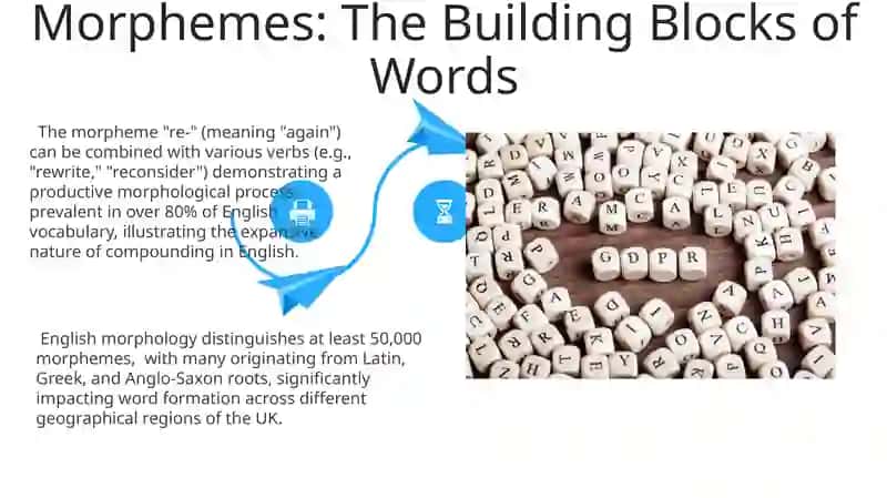 Morphological structure of the English words 4