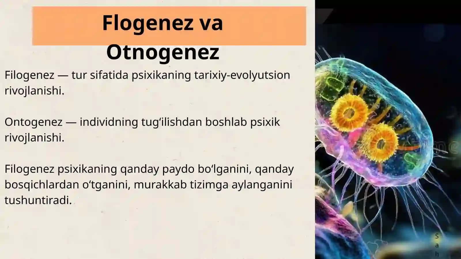 PSIXIKANING FILOGENETIK TARAQQIYOTI 4